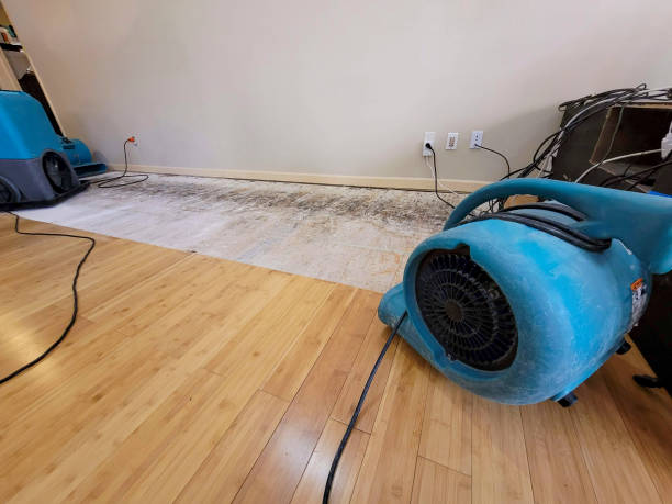 Professional Water Removal technician working in Somerset, KY